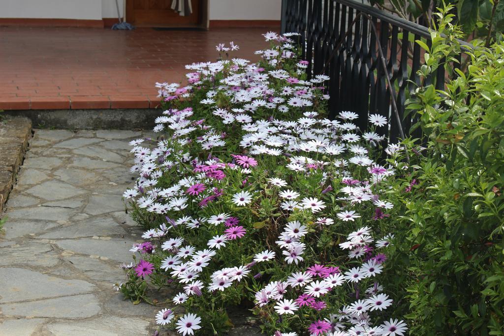 House In Caramagna Leilighet Imperia Rom bilde